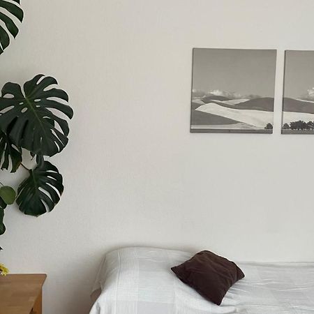 Fewo Oberhausen-Alstaden Oberhausen  Buitenkant foto
